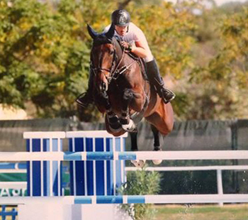 Holly Gillott Wins Speedi-Beet HOYS Grade C Qualifier at Warrington Horse Show Holly Gillott Wins Speedi-Beet HOYS Grade C Qualifier at Warrington Horse Show